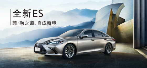 Lexus in China: Past success and recent crisis