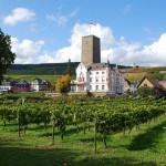 Wines from Bourgogne in China