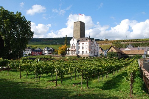 Wines from Bourgogne in China