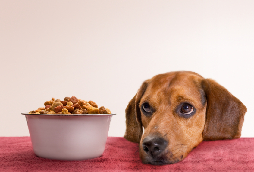 Pet Food Market in China