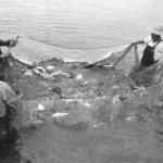 Market analysis: Aquaculture in China