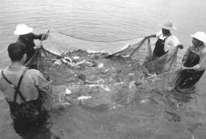 Market analysis: Aquaculture in China
