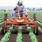 Market analysis: Agribusiness in China