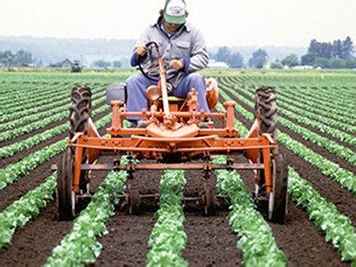 Market analysis: Agribusiness in China