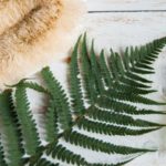 Organic Cosmetics in China: Natural ingredients gaining popularity