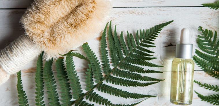 Organic Cosmetics in China: Natural ingredients gaining popularity