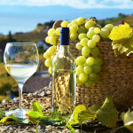 New Trend for Organic Wine in China