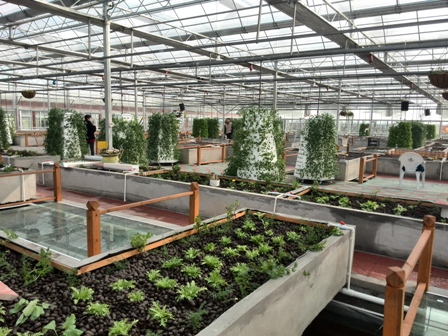 Organic Food in China