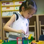 “The Lord of the LEGO”: The Competitive Market of Building Bricks Toys in China