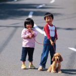 Pet Care Industry in China: A Huge Business for China’s Newfound Passion