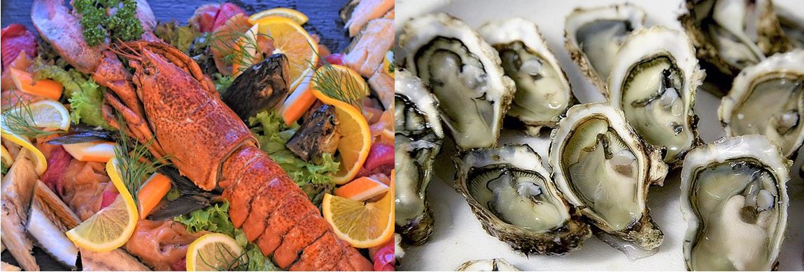 The premium seafood market in China