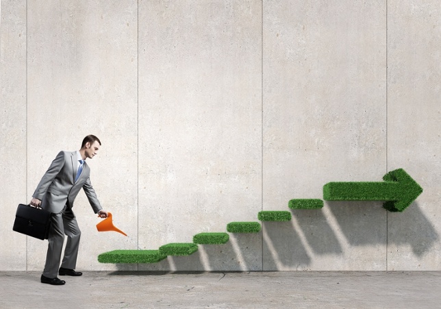 5 Options to Consider When Setting Up Your Business in China