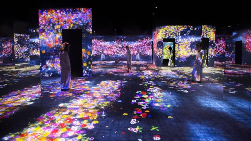 Daxue Consulting-Flower Forest Beijing