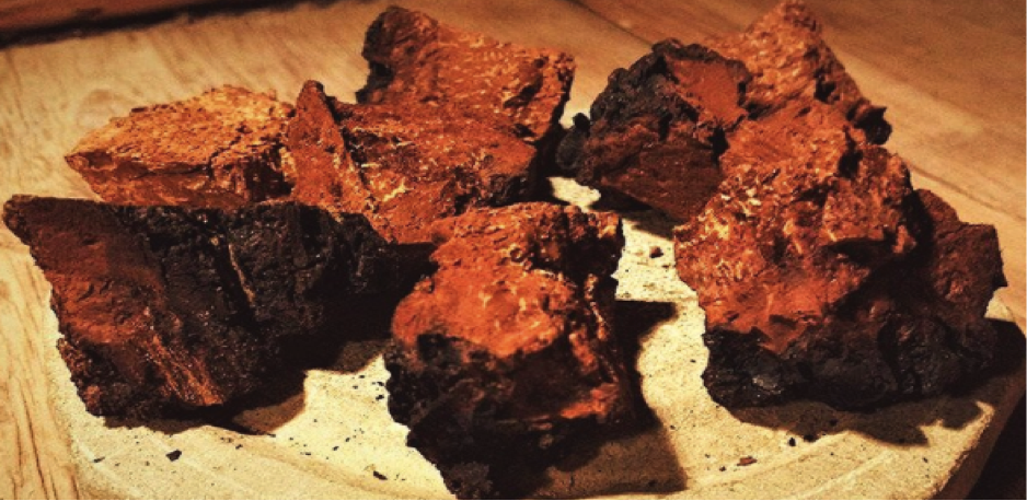 The chaga mushroom market in China: on the verge of a breakthrough?