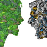 Green China: Chinese consumers demand green products | Daxue Consulting