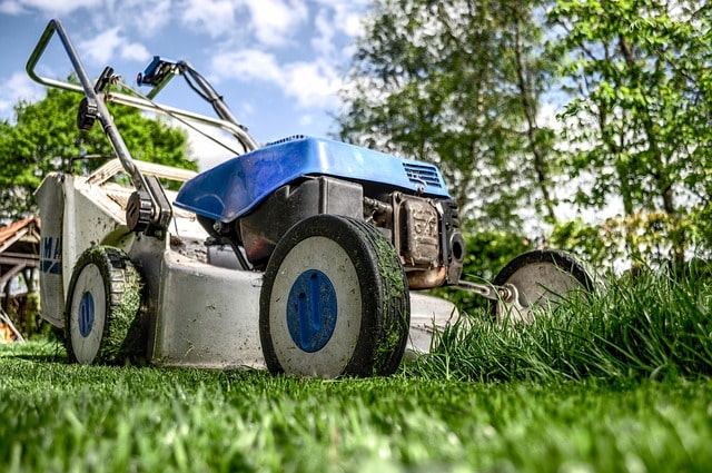 As gardening gains popularity as a leisure activity, where do China’s gardening tools come from? | Daxue Consulting