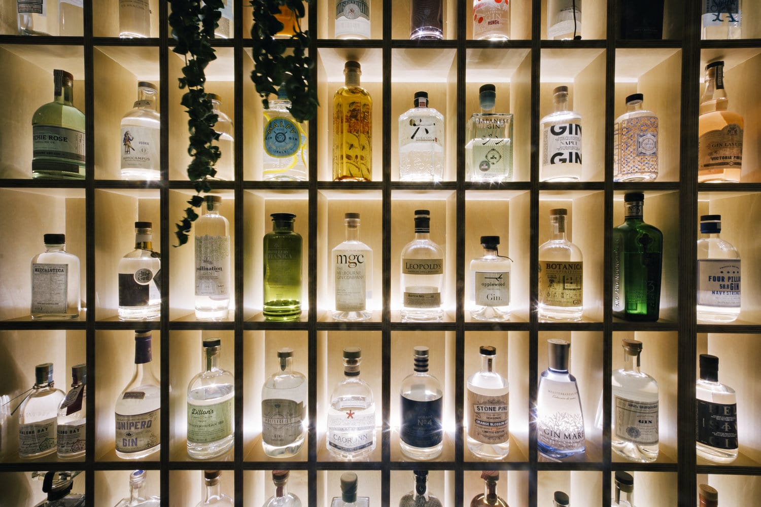 The spirits market in China: The four most popular alcoholic drinks among Chinese consumers | Daxue Consulting