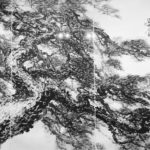 What are investors speculating on the Chinese art market? | Daxue Consulting