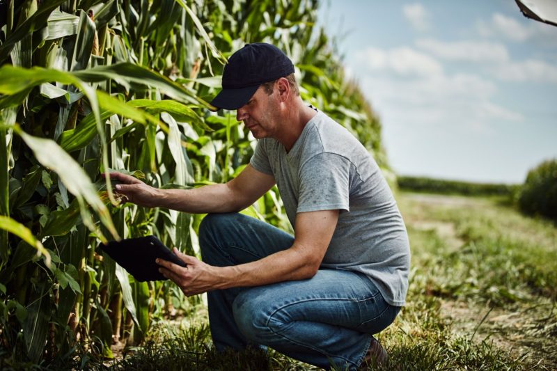 Digital tool used in agriculture in China