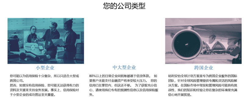 Euler Hermes is a foreign company in the credit insurance market in China