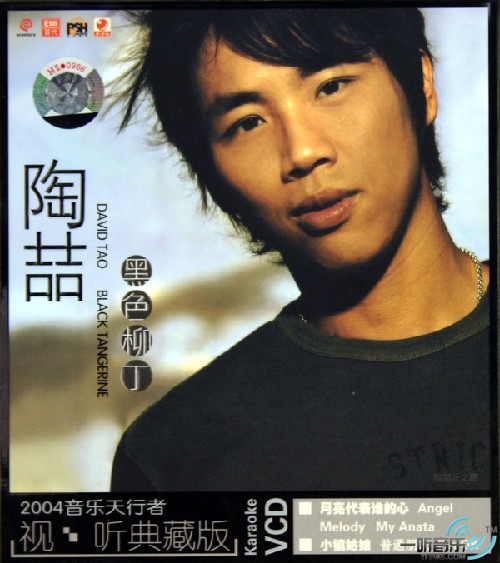 David Tao's brand endorsing power has declined - Chinese celebrity brand endorsers
