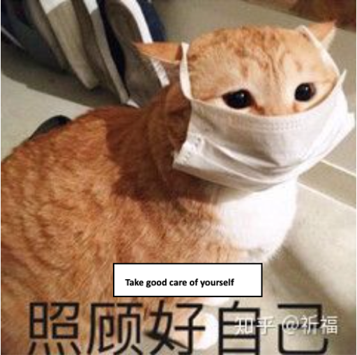 Cute coronavirus meme