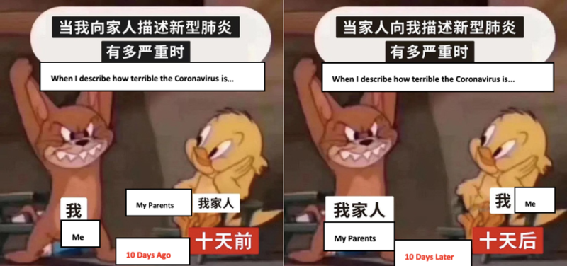 Coronavirus memes