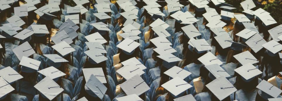 How COVID-19 impacts Chinese students abroad: Survey of 400 students