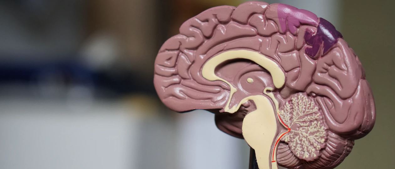 The mental health market in China awakens through digital channels